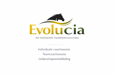 no nonsense paardencoaching
